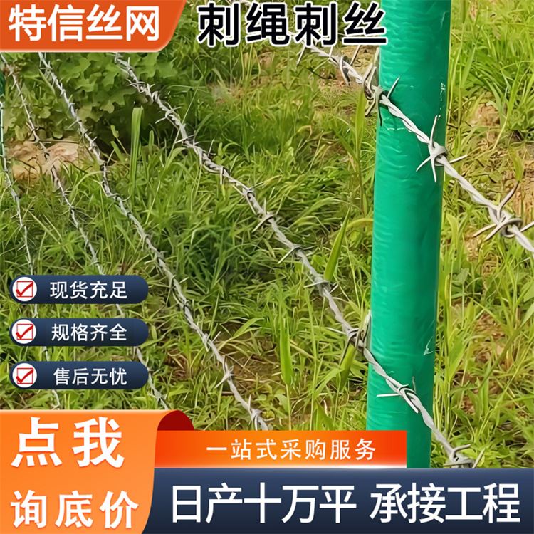 特信 供应高锌刺绳 高铁刺丝滚笼 刺铁丝隔离网 热镀锌 支持定制