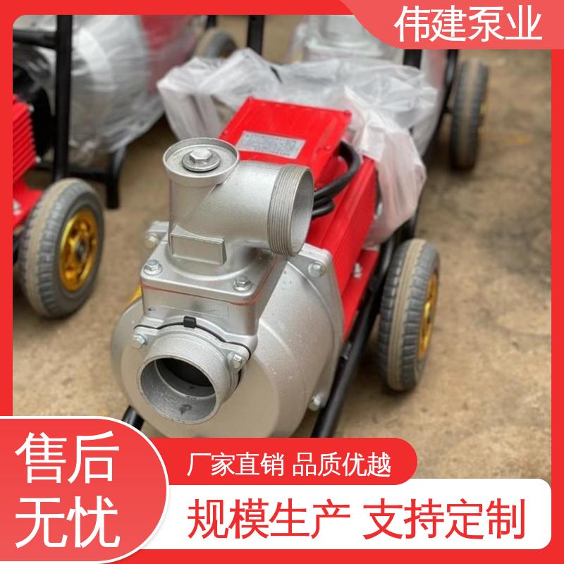 伟建供应 噪音小体积小 LC高粘度罗茨泵 糖蜜糖浆卸车用 规格齐全