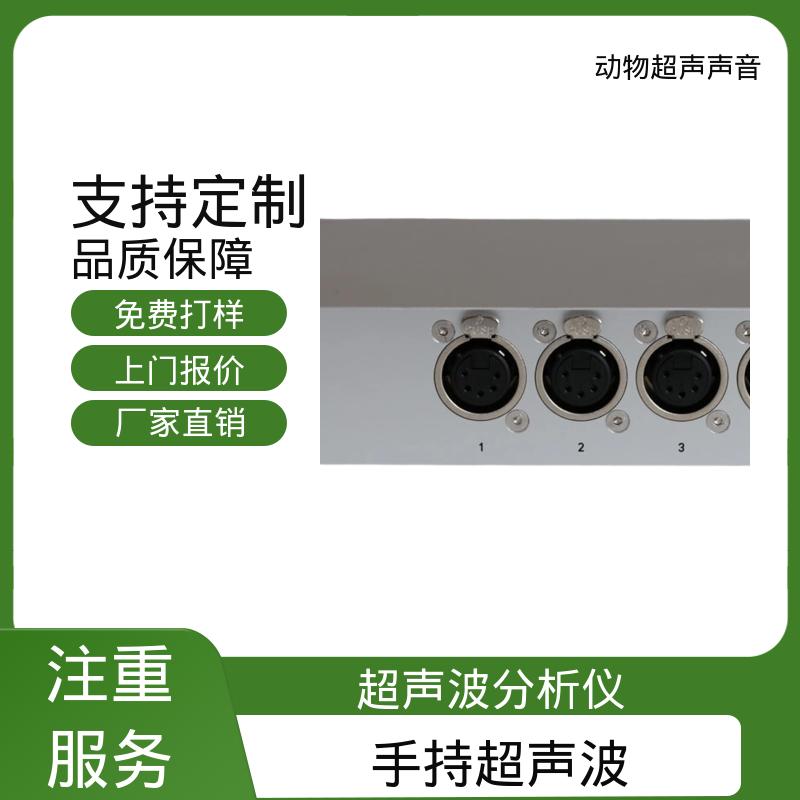 德国Avisoft 动物声音超声波播放装置 80 x 42 x 130 厂家供应 现货充足