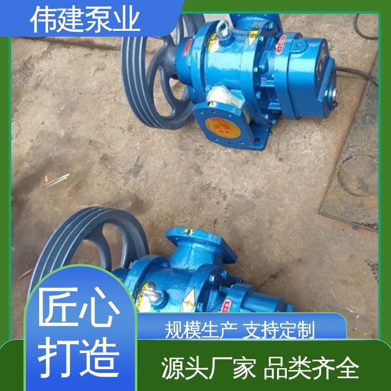 高流量 重油输送用 规格齐全 硬齿面泵 伟建供应