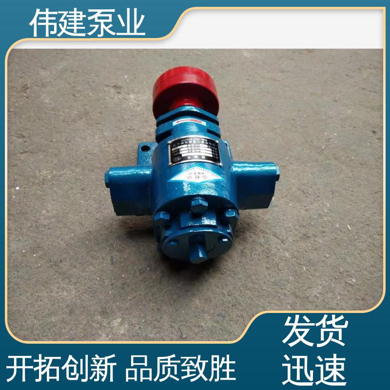 低噪音 硬齿面泵 规格齐全 重油输送用 伟建生产