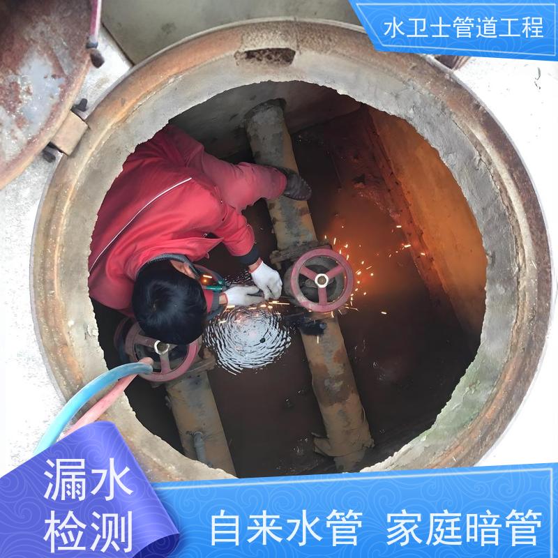 盐城大丰区自来水管检测漏水仪器探测勘察现场 