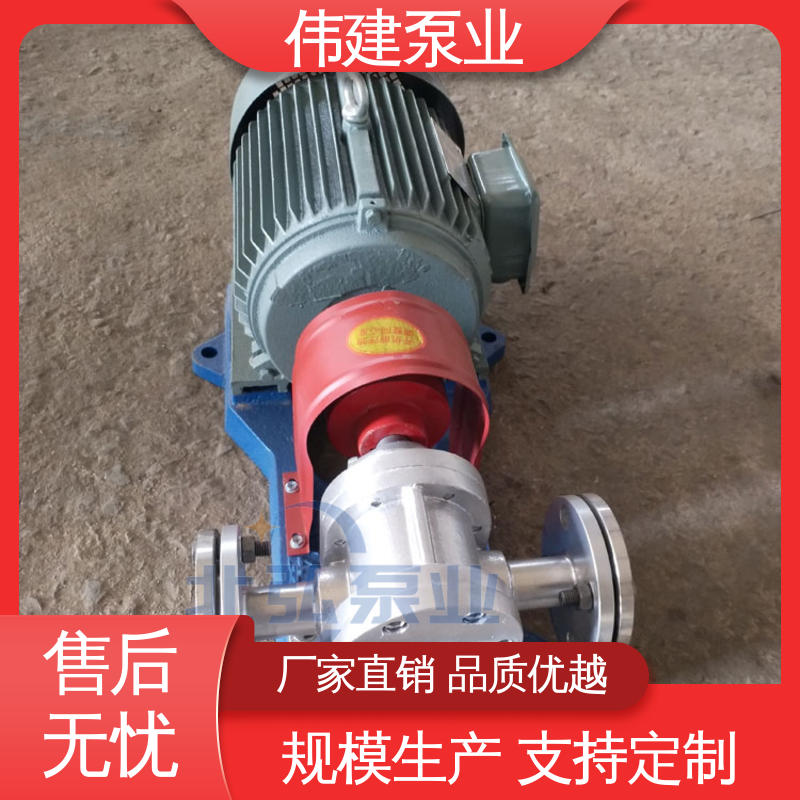 运行可靠 支持定制 LC50皮带轮罗茨泵 橡胶树脂输送用 伟建生产