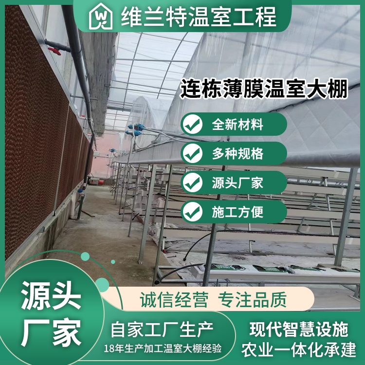 图6