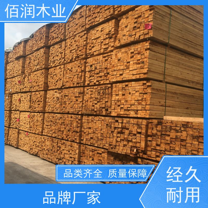 工地用 加拿大铁杉 厂家电话 库存充足 全国发货