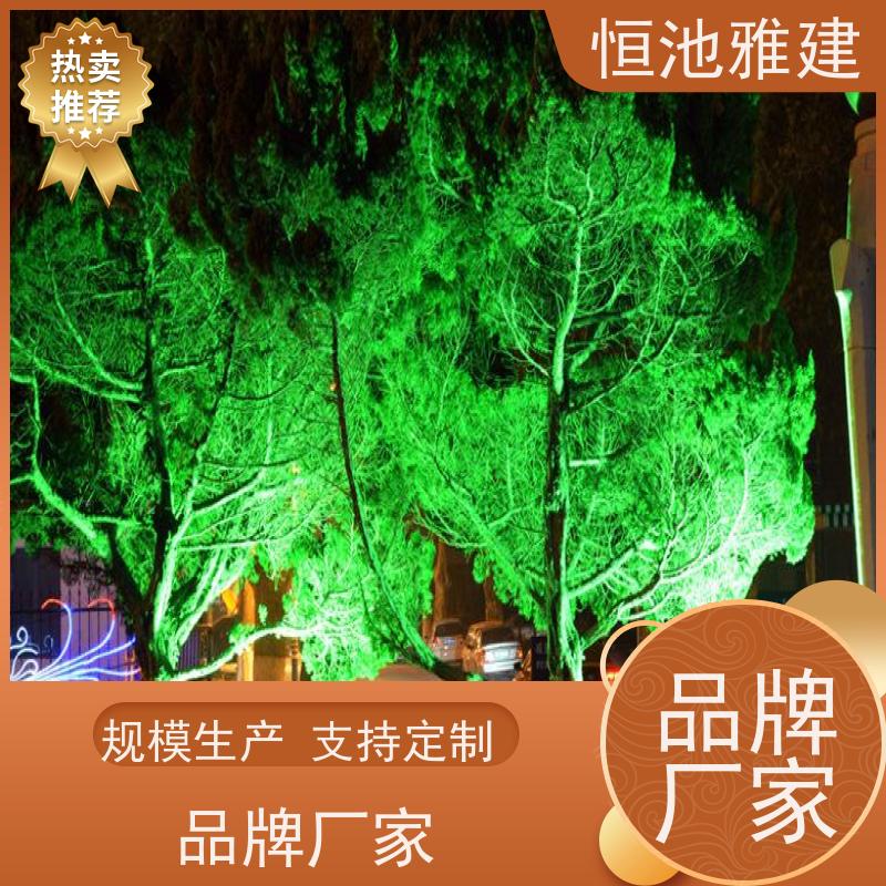 恒池雅建 装饰节日灯 光纤灯亮化 策划设计制作