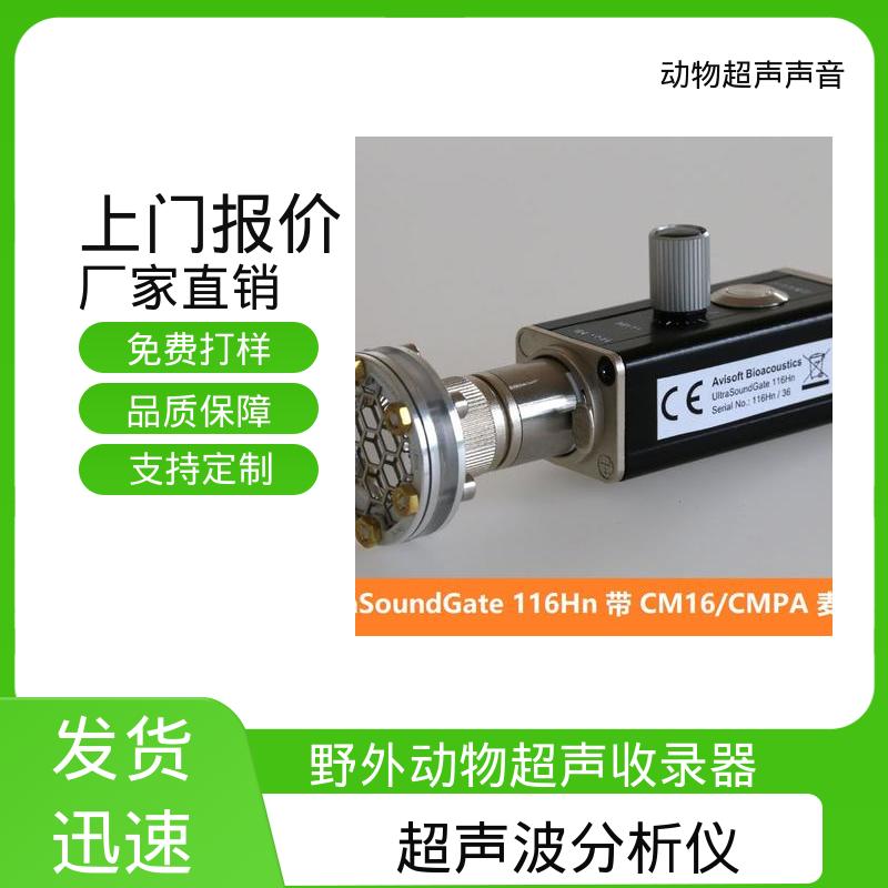 德国Avisoft 动物声音分析仪 80 x 42 x 130 实力厂家 品质优越