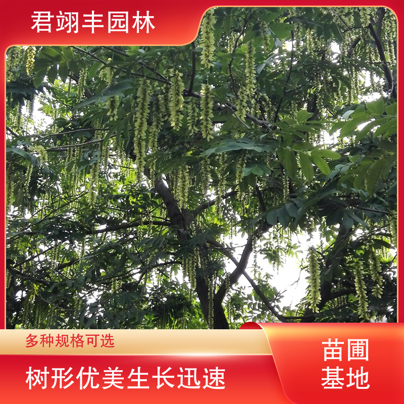 图9