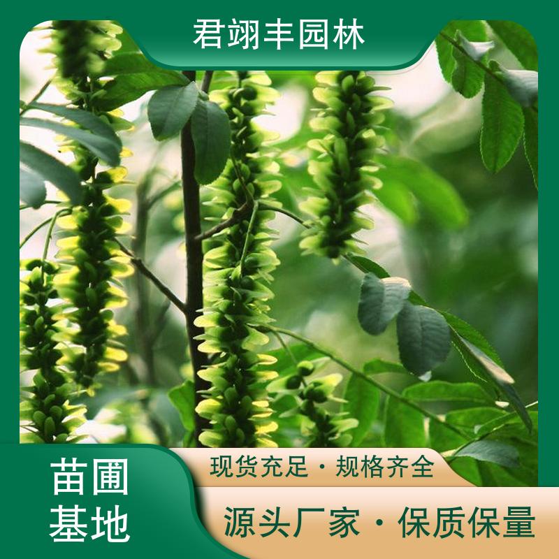 图7