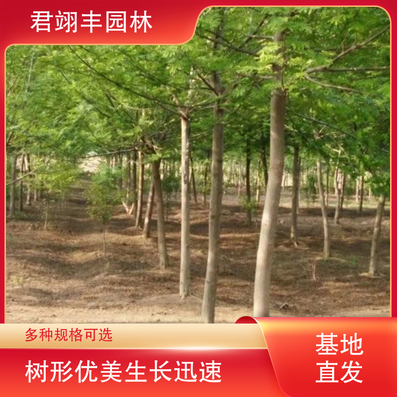 图6