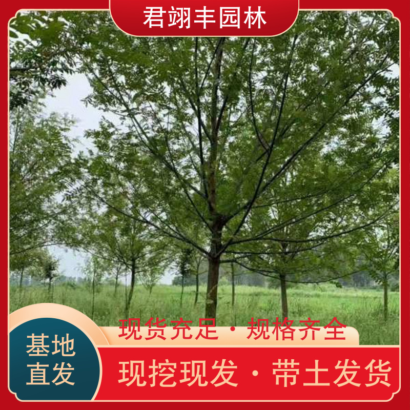 图8