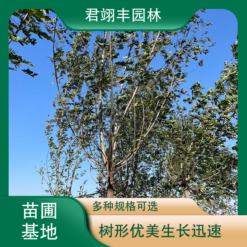 图10