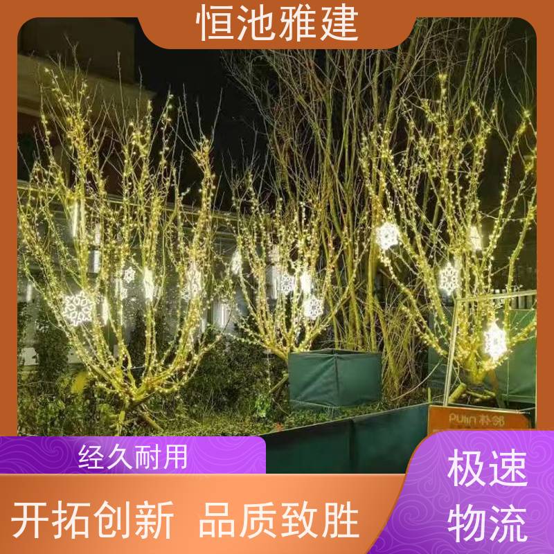 恒池雅建 节日灯批发 街道树木亮化 策划设计制作