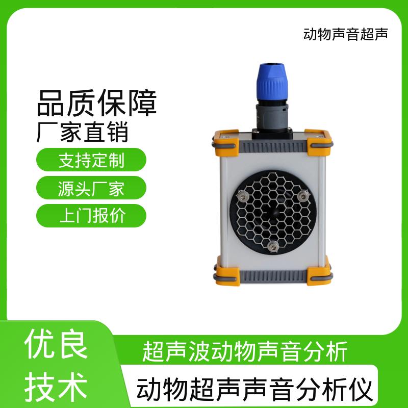德国Avisoft 超声波放大器 85x35 x190 mm 源头厂家 品类齐全