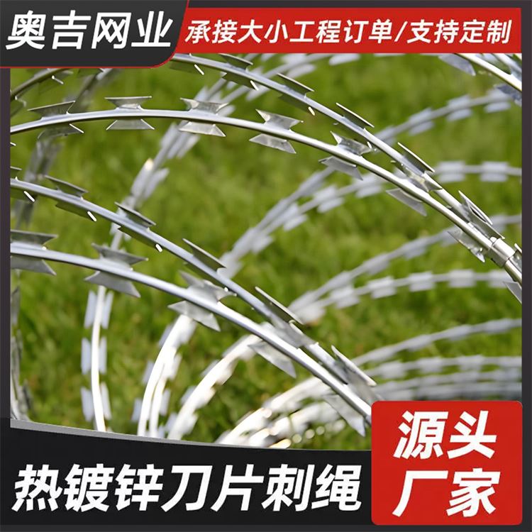 奥吉网业 围墙刺丝滚笼 现货充足 蛇腹型刀片刺网