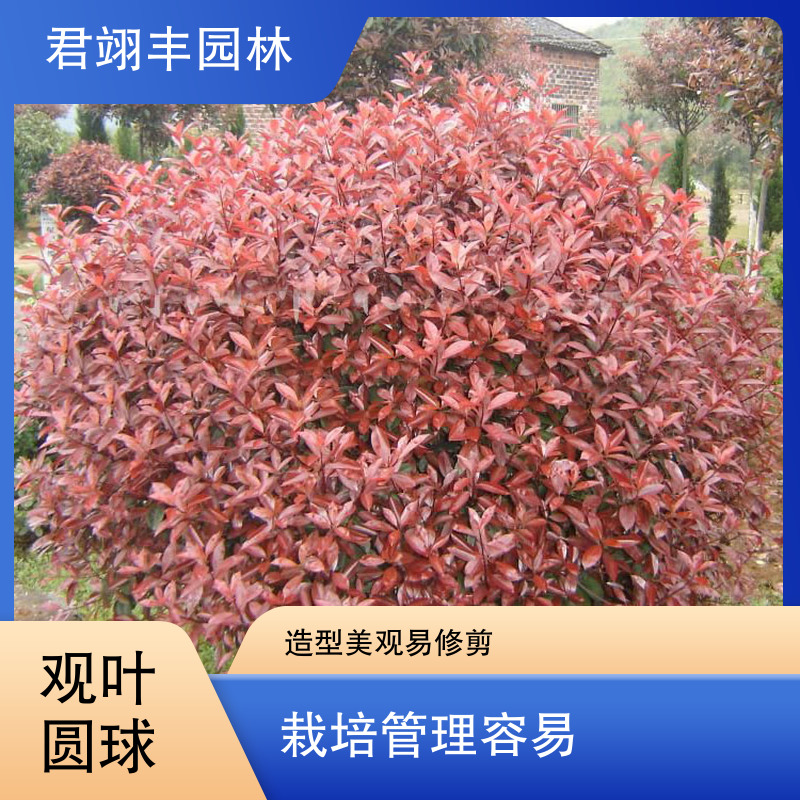 图7