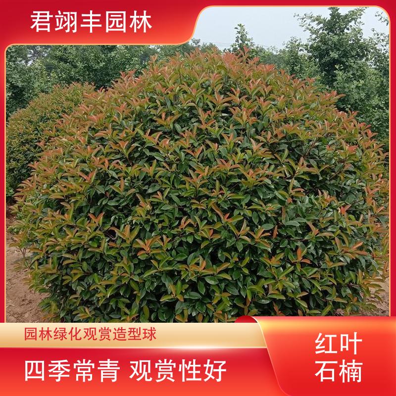 图8