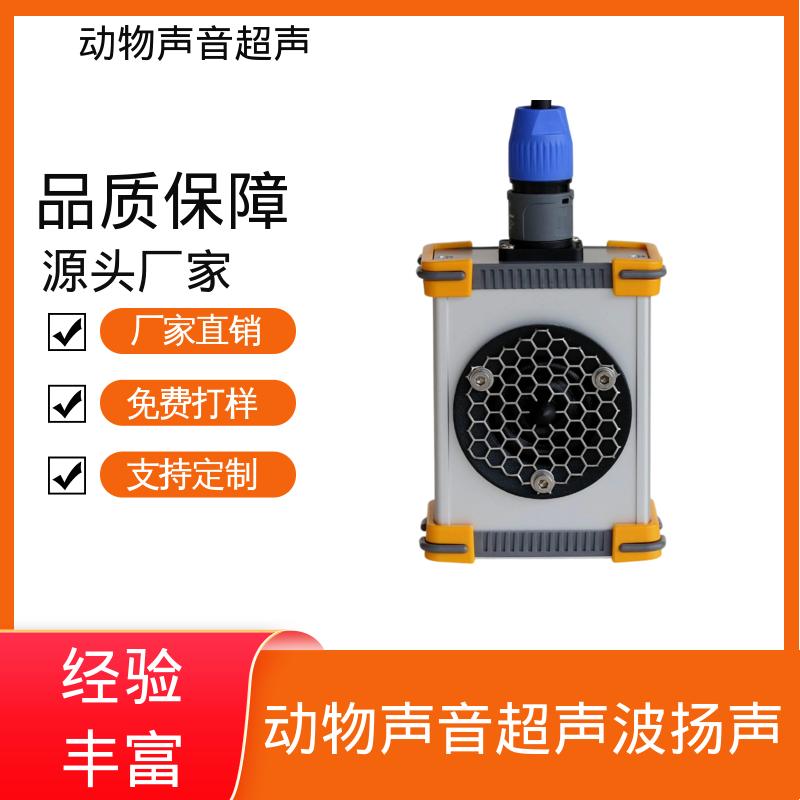 德国Avisoft 大功率超声波换能器 85x35 x190 mm 源头厂家 品类齐全