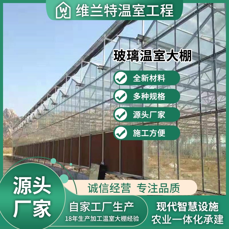 图6