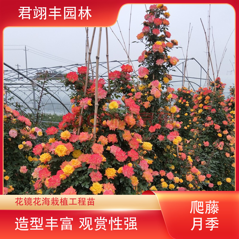 图6