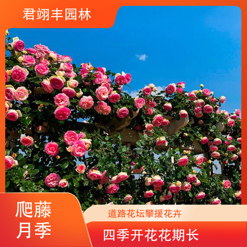 图7