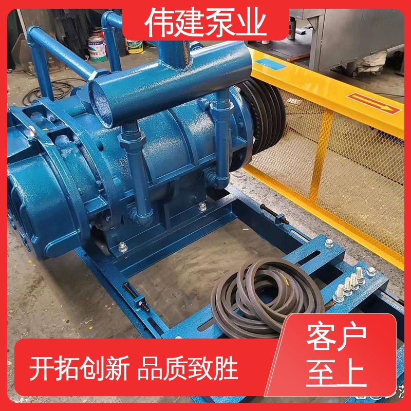 伟建生产 润滑油脂沥青输送 支持定制 LCX罗茨泵 