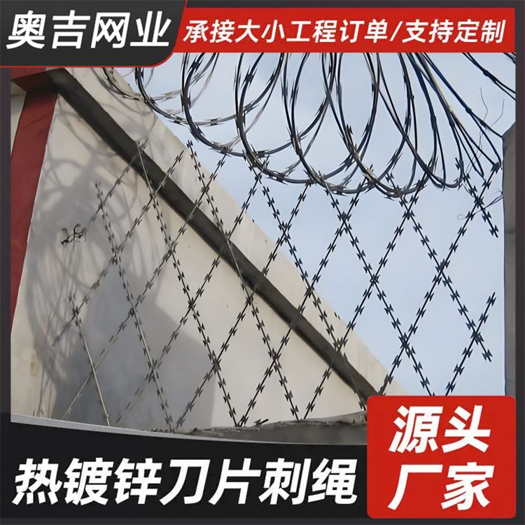 奥吉网业 不锈钢刺丝滚笼 质量优良 围墙防盗刀片刺网