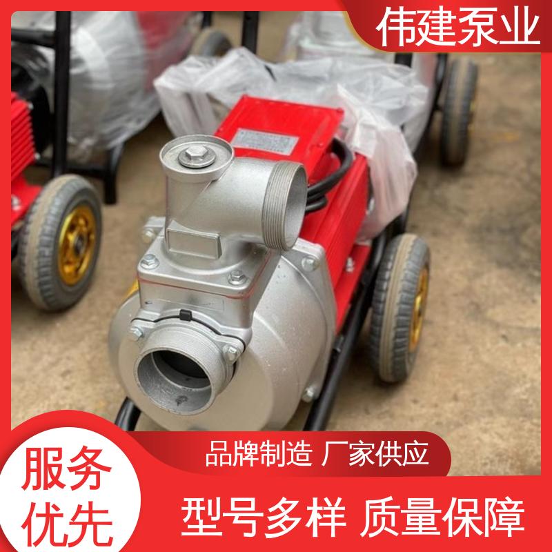 伟建供应 LC50皮带轮罗茨泵 糖蜜糖浆卸车用 运行可靠 规格齐全