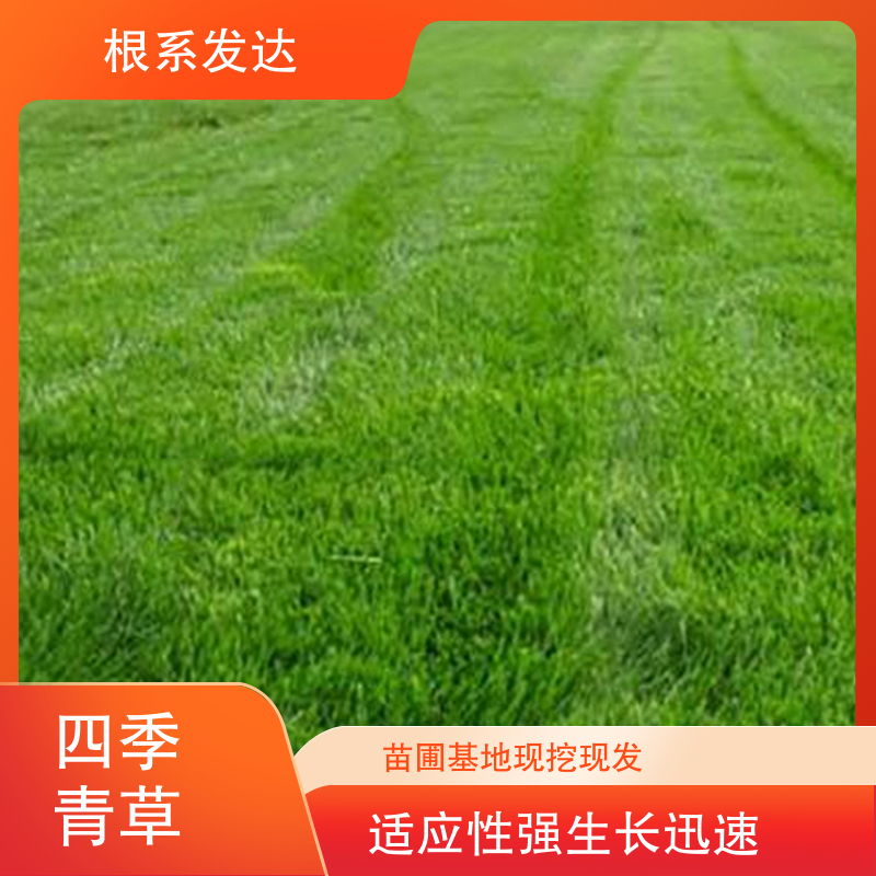 图6
