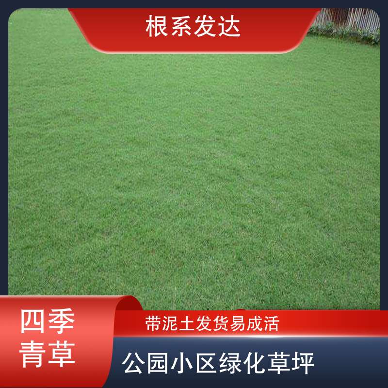 图8