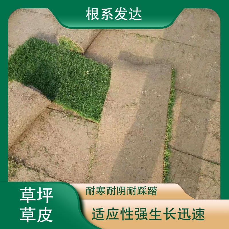 图7