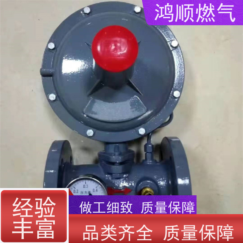 鸿顺 厂家 DN80燃气调压器 结构紧凑占地小 按需定制