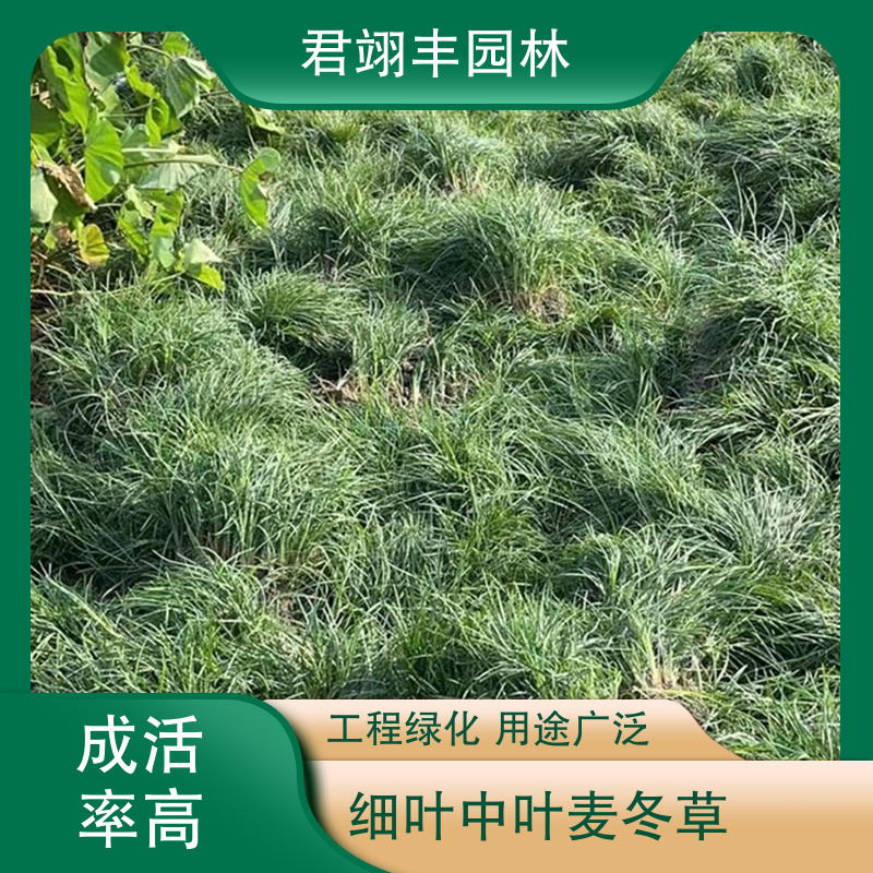 图6