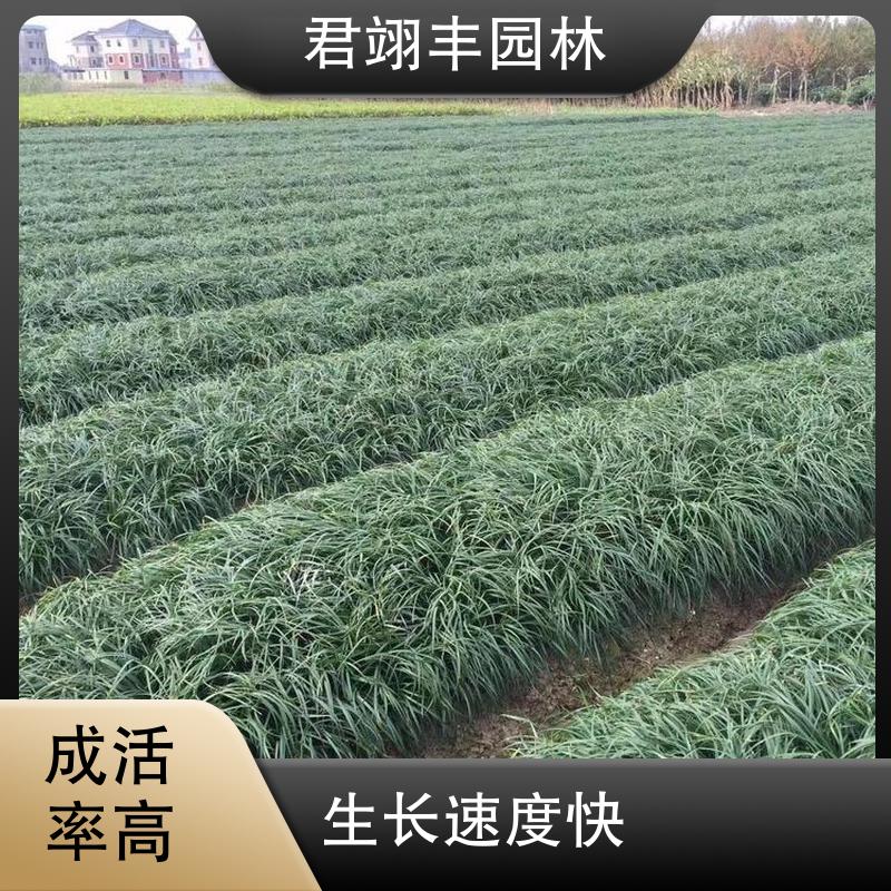 图7