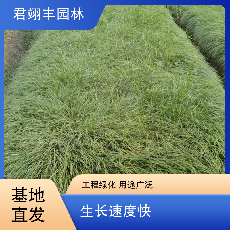 图9