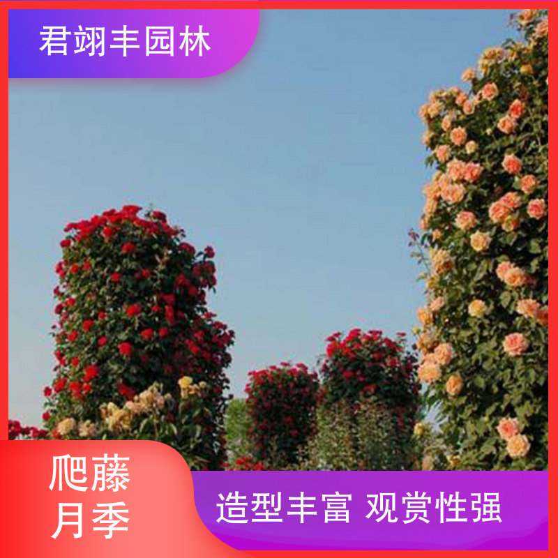图6
