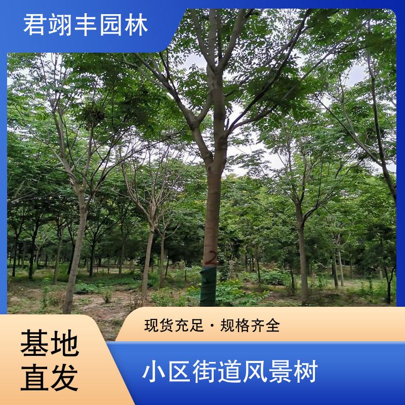 图6