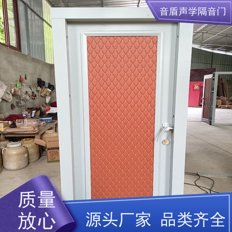 音盾声学 舞蹈室 防火隔音门 品质保证 工厂批发