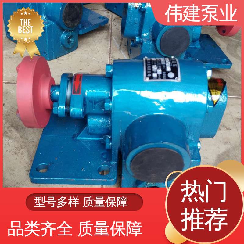 沥青保温泵 聚氨酯 涂料油漆用 性能稳定 伟建供应
