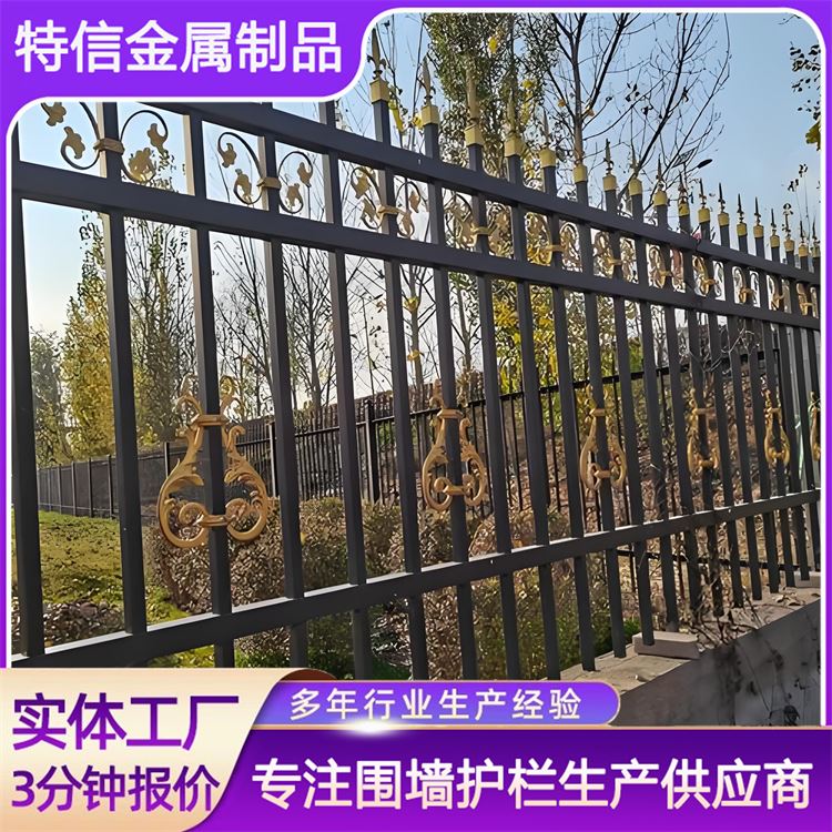 特信 源头厂家 规格齐全 铁艺围墙栏杆 农村院子围栏