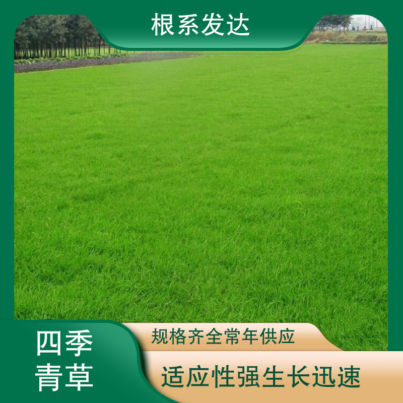 图6
