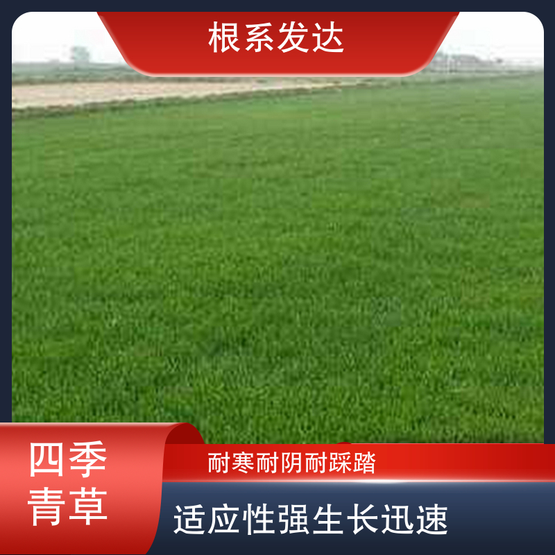 图10