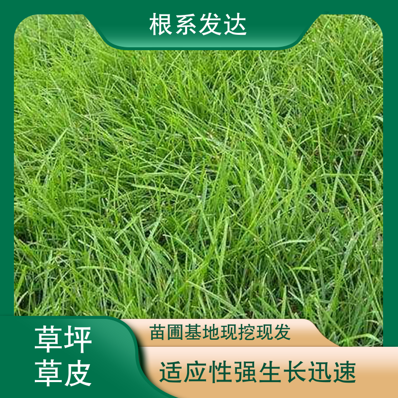 图9