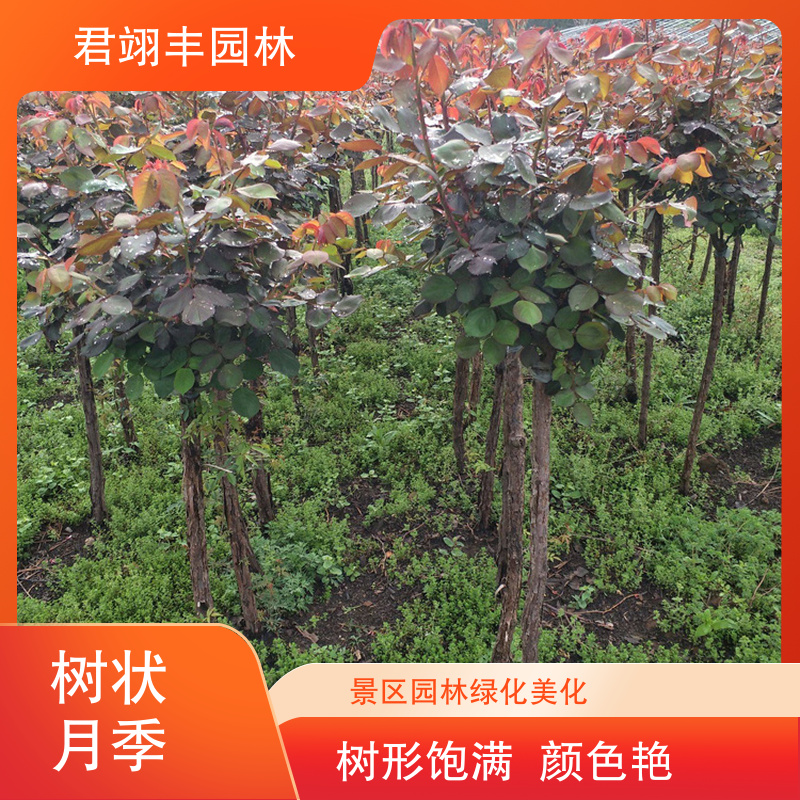图6