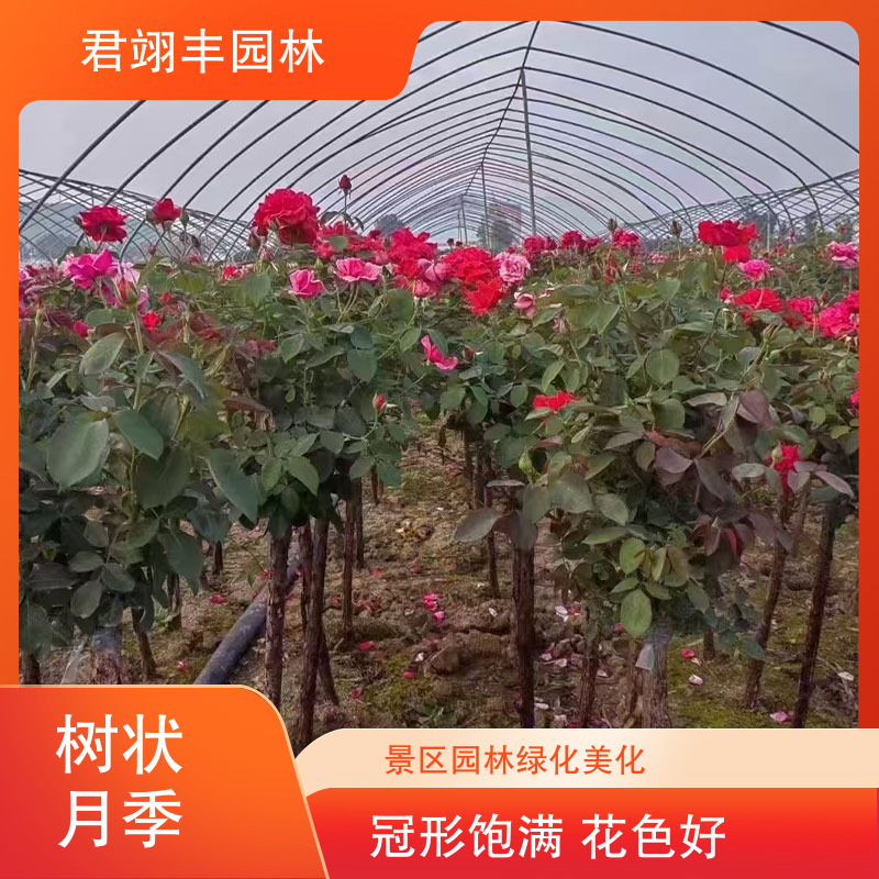图7