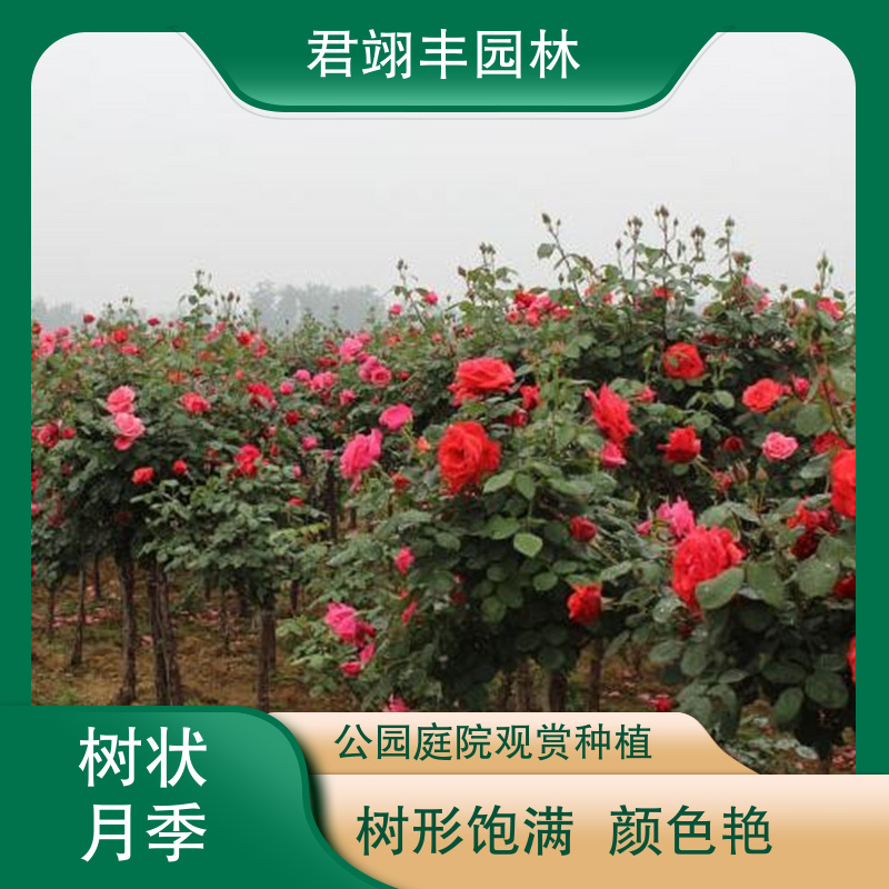 图8