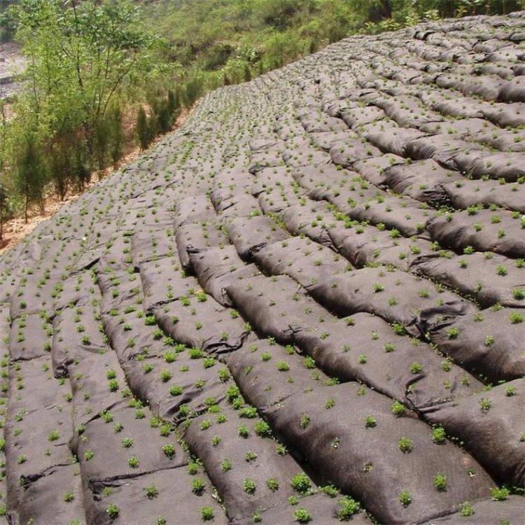 生态袋 边防护绿化土工袋 40*60cm多种数量可选 联杰