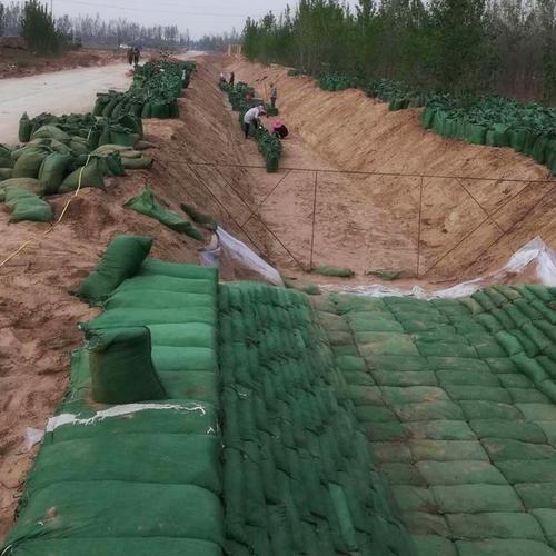 护坡生态袋 挡土防汛土工布袋 河道治理 可带草籽 尺寸规格定制生产