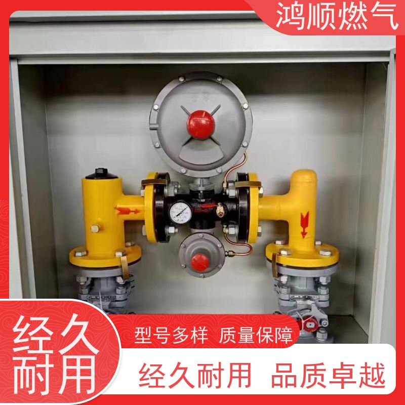 鸿顺 厂家 小区燃气调压器 加固系统强度高 规格齐全