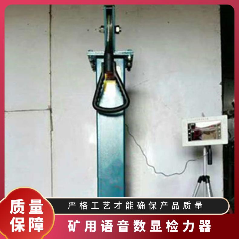 矿用语音数显检力器 不锈钢或碳钢 即可读取次数